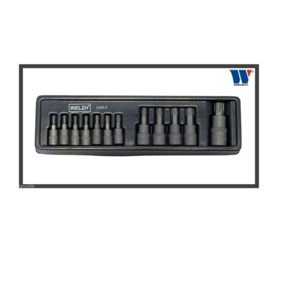 12 PIECE TAMPER TORX SET